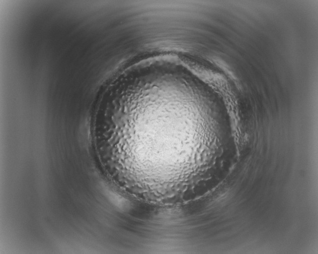 X0000069790398200605191044