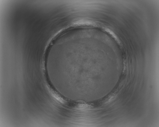 X0000069790399200605191044