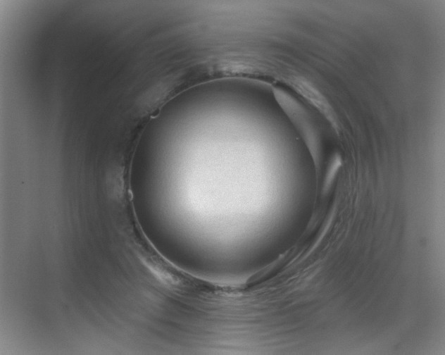 X0000069790401200605191044