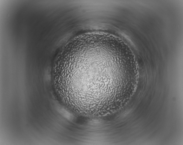 X0000069790402200605191044