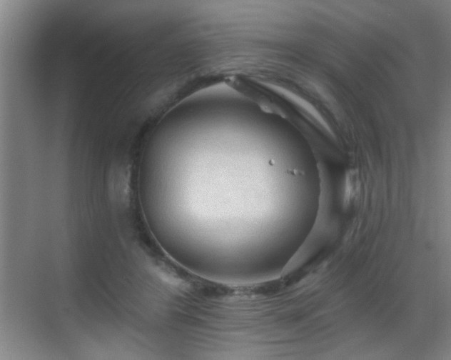 X0000069790404200605191043