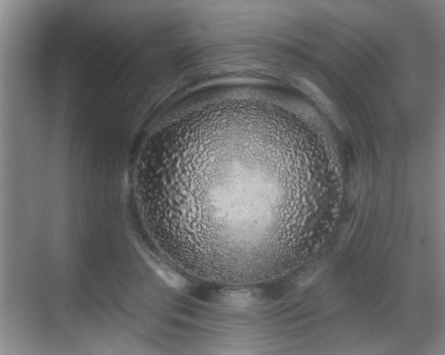 X0000069790405200605191043