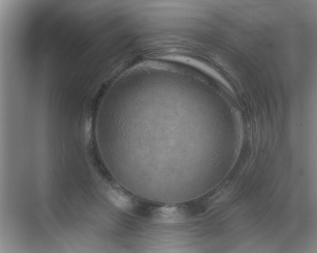 X0000069790406200605191043