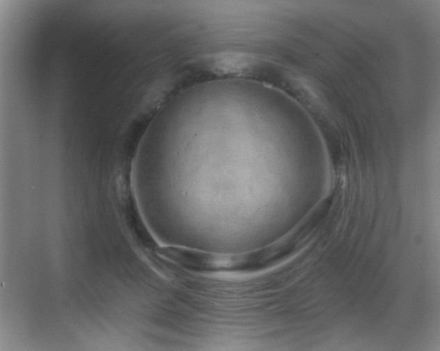 X0000069790408200605191043