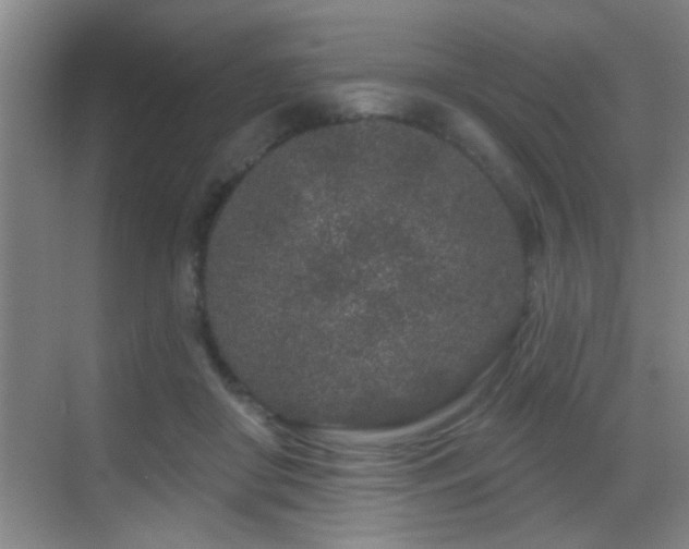 X0000069790410200605191043