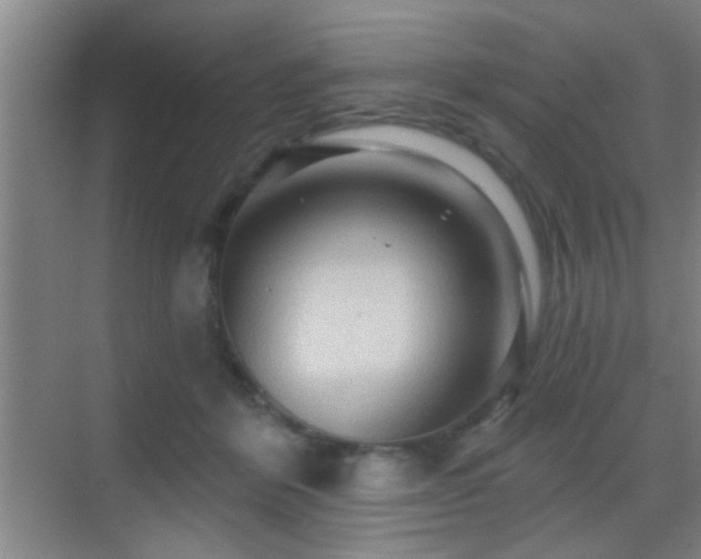 X0000069790412200605191043