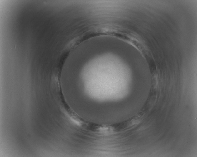 X0000069790415200605191043