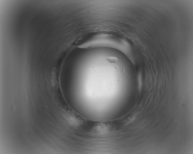 X0000069790416200605191043