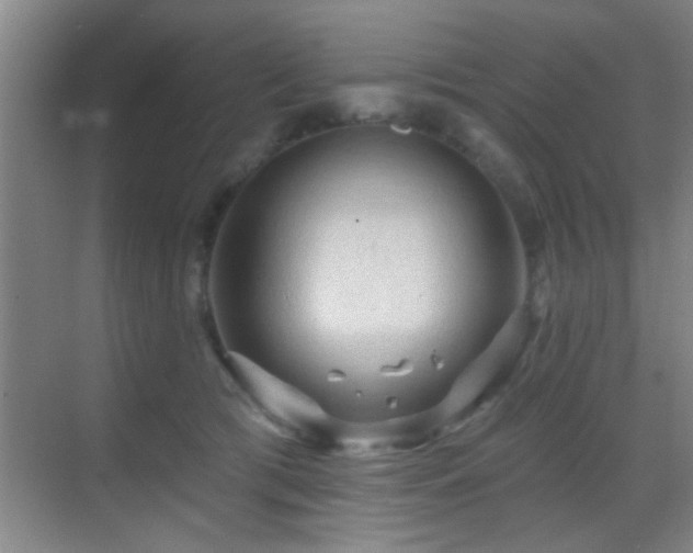 X0000069790417200605191043