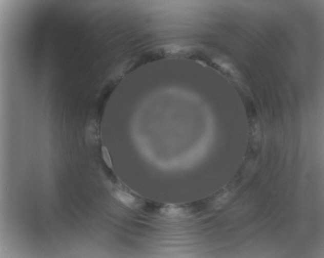 X0000069790419200605191043