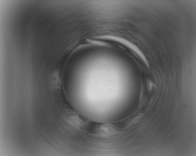 X0000069790420200605191043