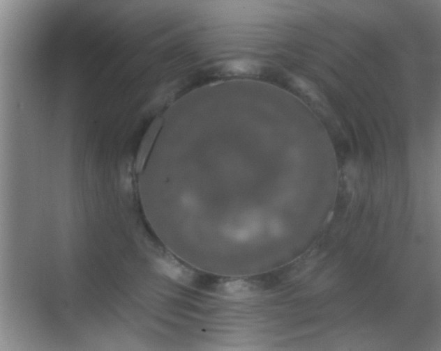 X0000069790423200605191043