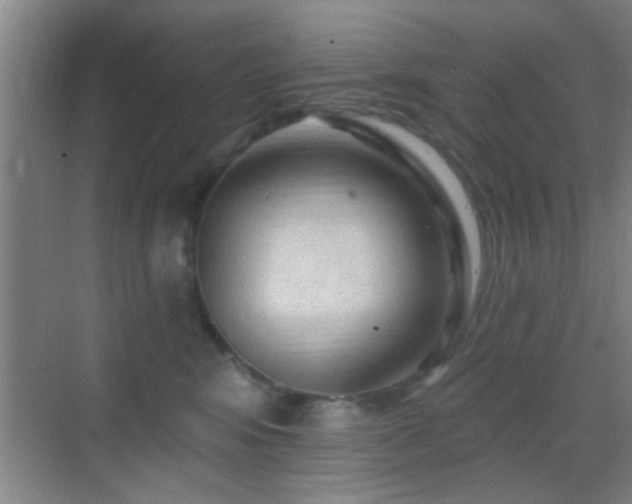 X0000069790424200605191043