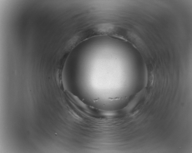 X0000069790428200605191043