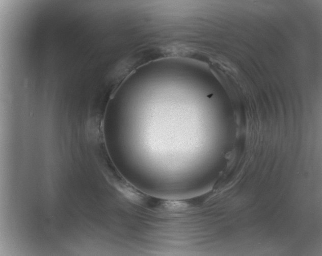 X0000069790429200605191043