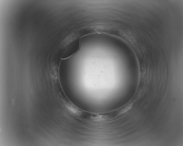 X0000069790430200605191043