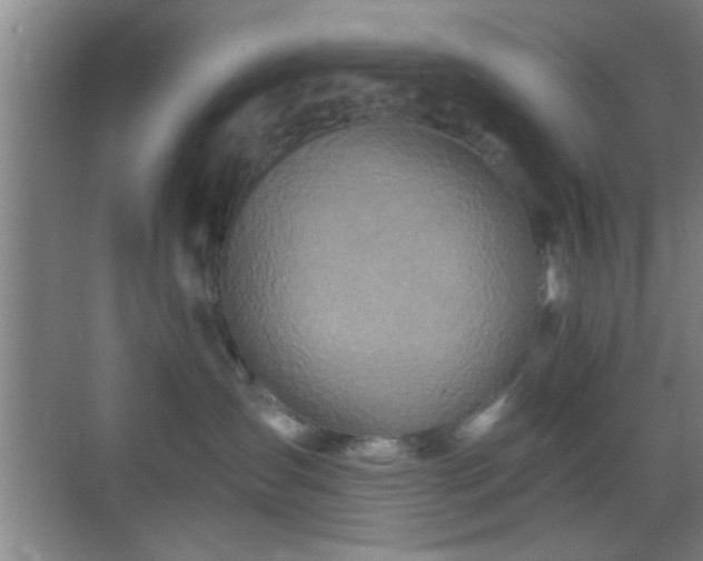 X0000069790431200605191043