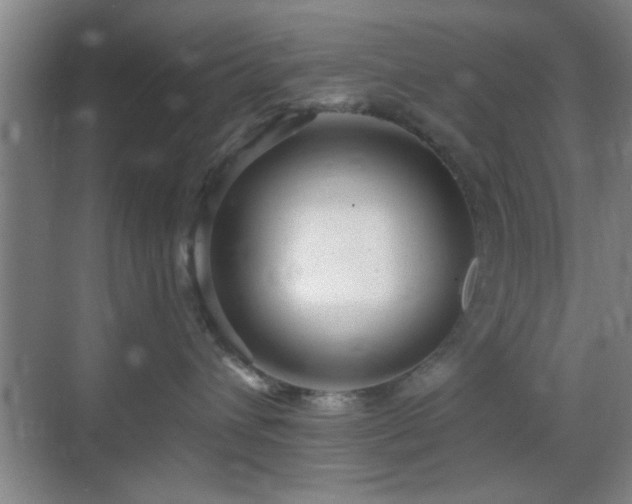 X0000069790432200605191043