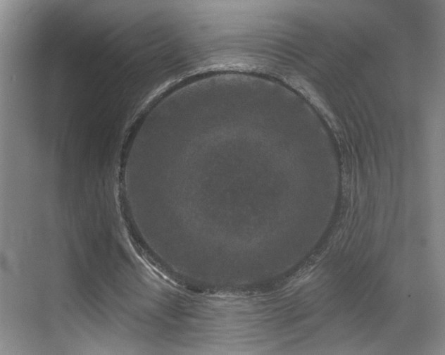 X0000069790434200605191042