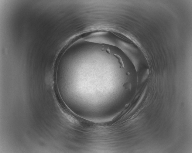 X0000069790438200605191042