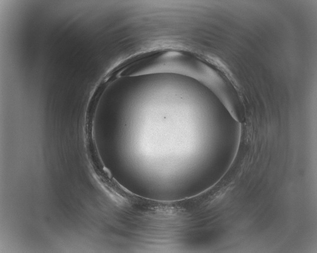 X0000069790439200605191042