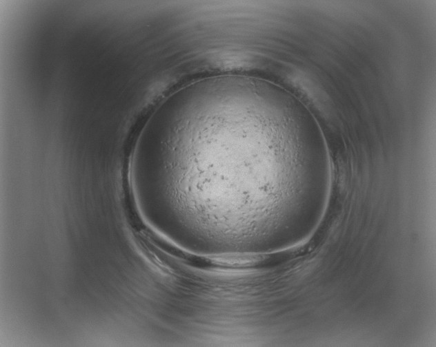 X0000069790447200605191042