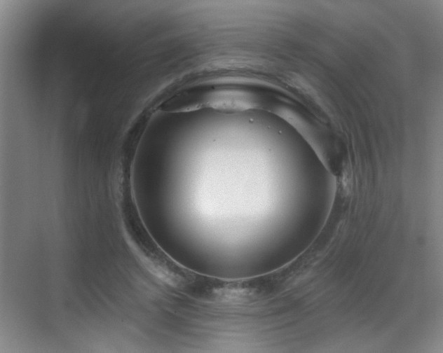 X0000069790448200605191042