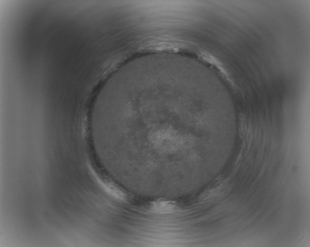 X0000069790451200605191042