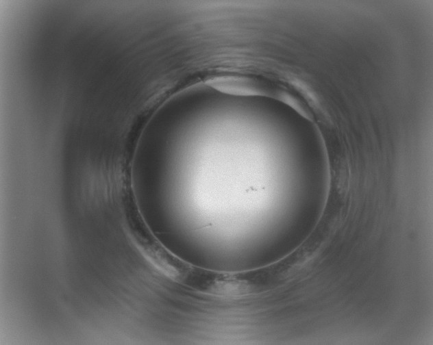 X0000069790455200605191043