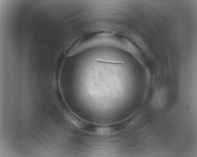 X0000069790457200605191043