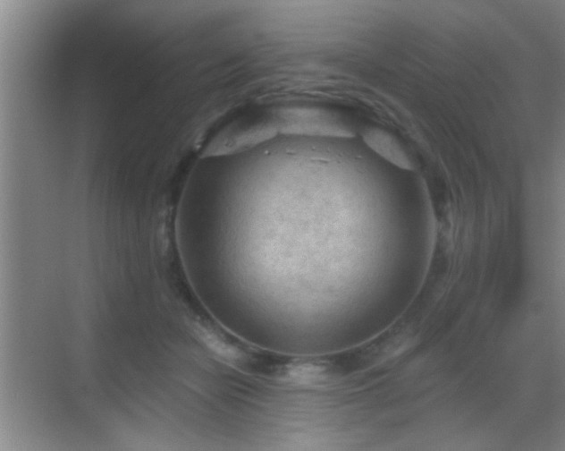 X0000069790462200605191043