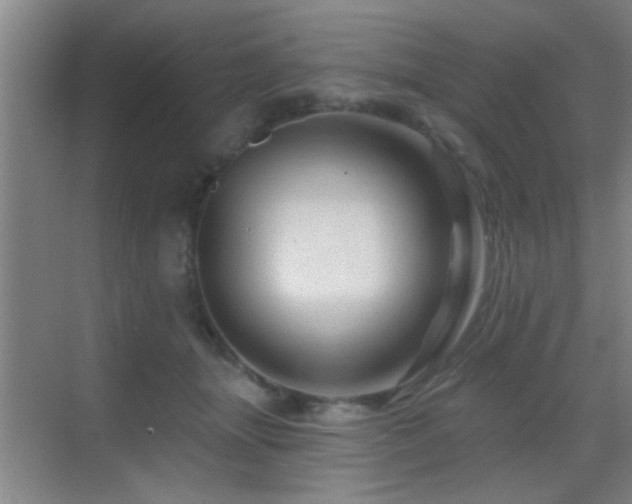 X0000069790463200605191043