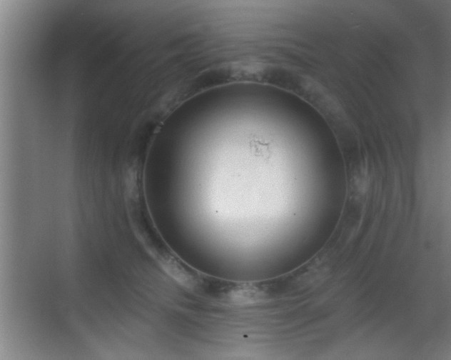 X0000069790468200605191043