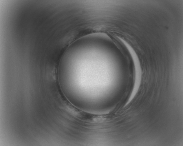 X0000069790470200605191043