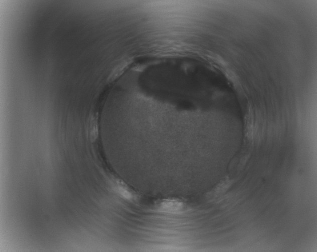 X0000069790471200605191043