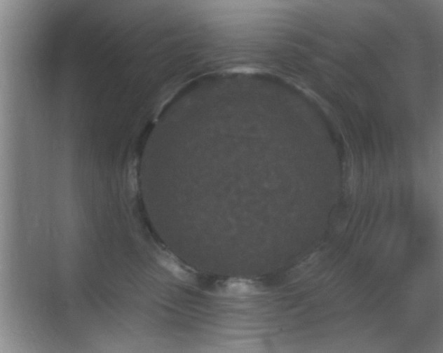 X0000069790475200605191043