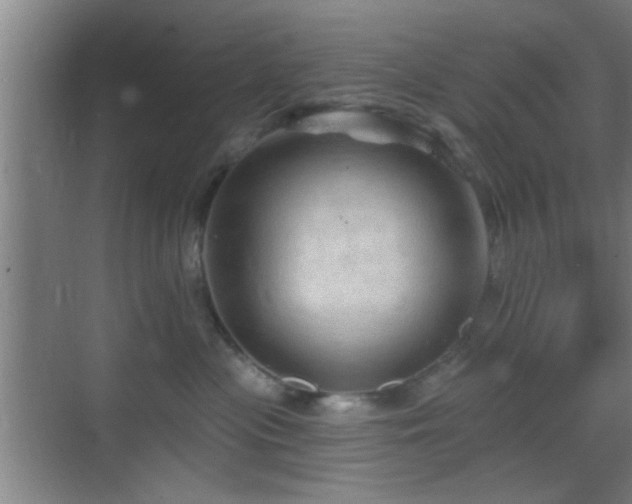 X0000069790477200605191043