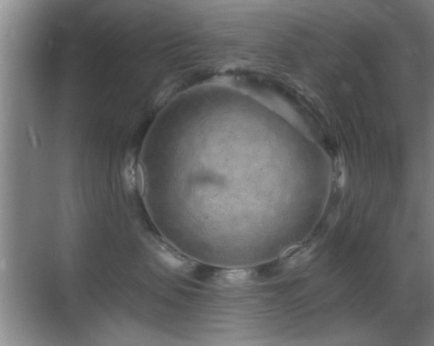 X0000069790479200605191043