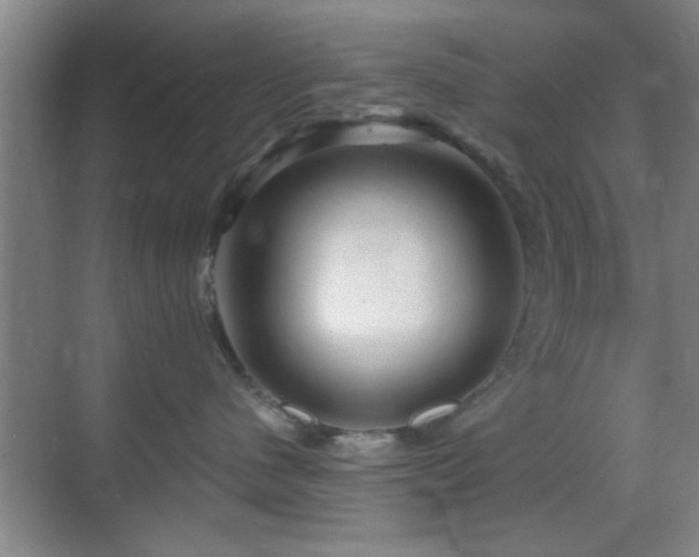 X0000069790480200605191043