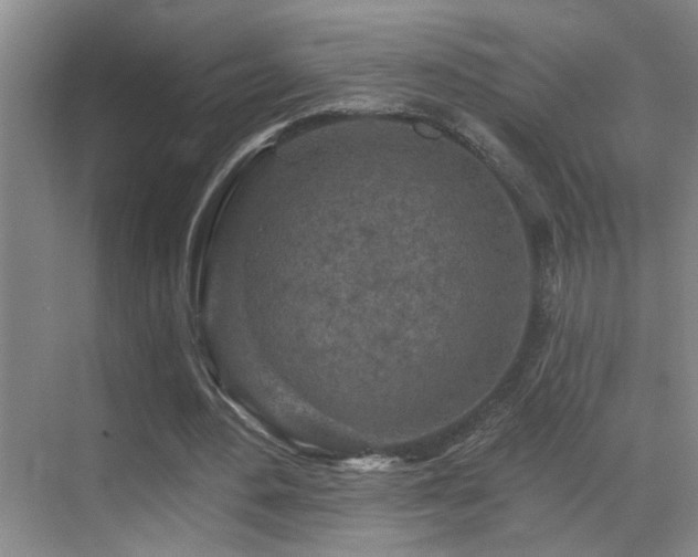 X0000069790484200605191042