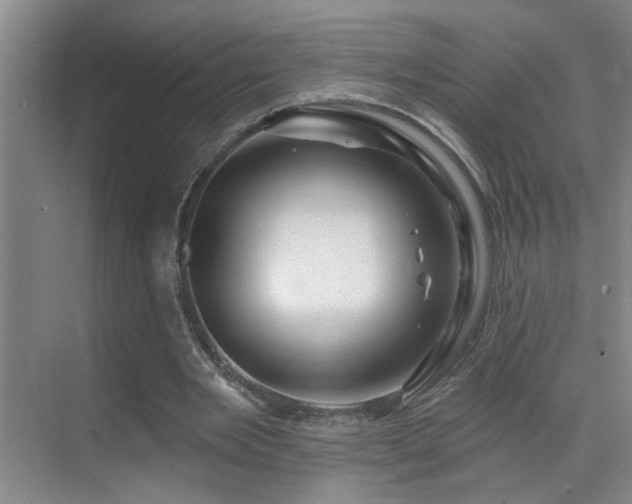 X0000069790485200605191042