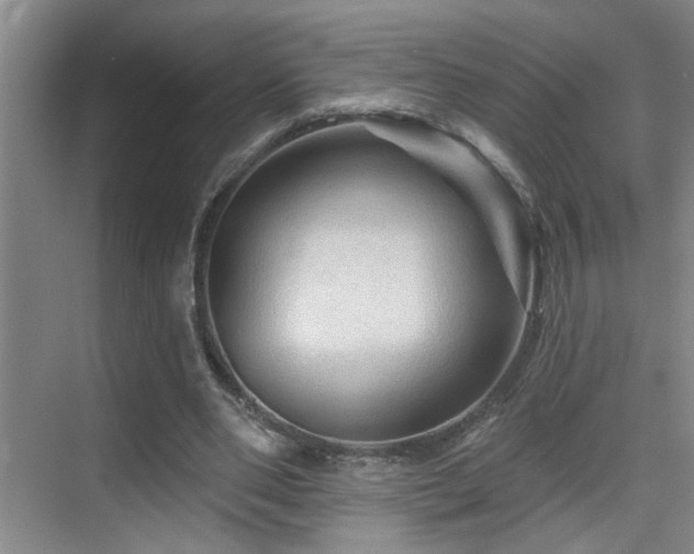 X0000069790486200605191042