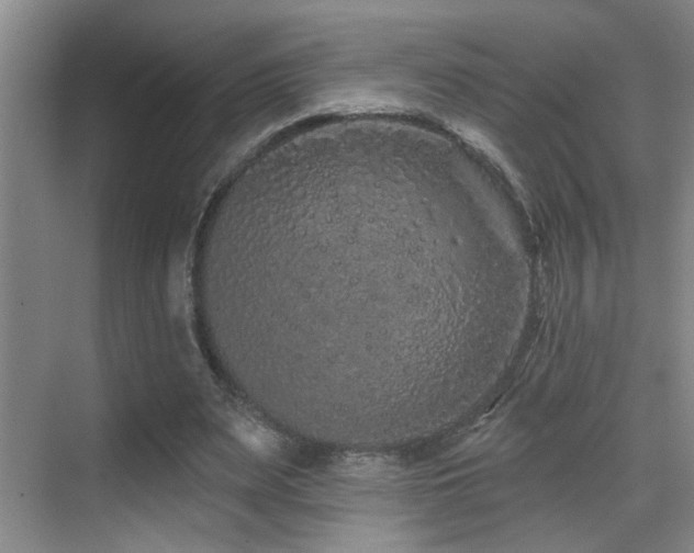 X0000069790487200605191042