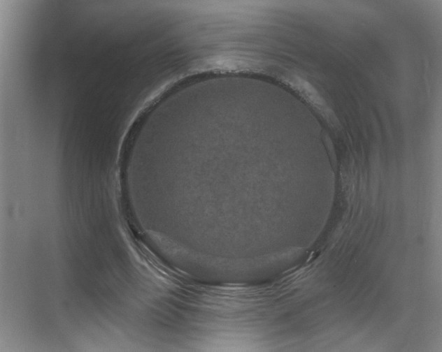 X0000069790488200605191042