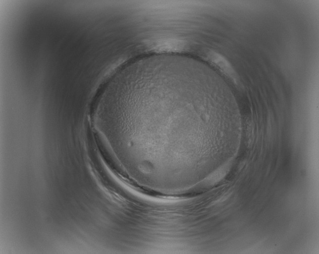 X0000069790491200605191042