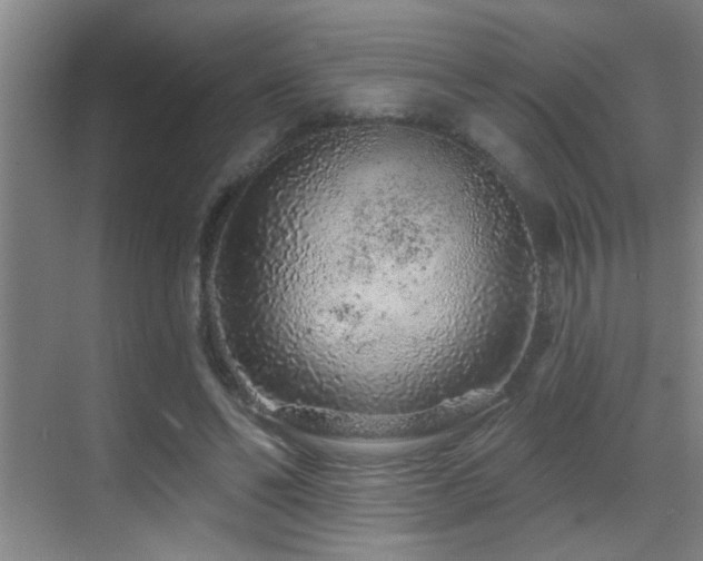 X0000069790494200605191042