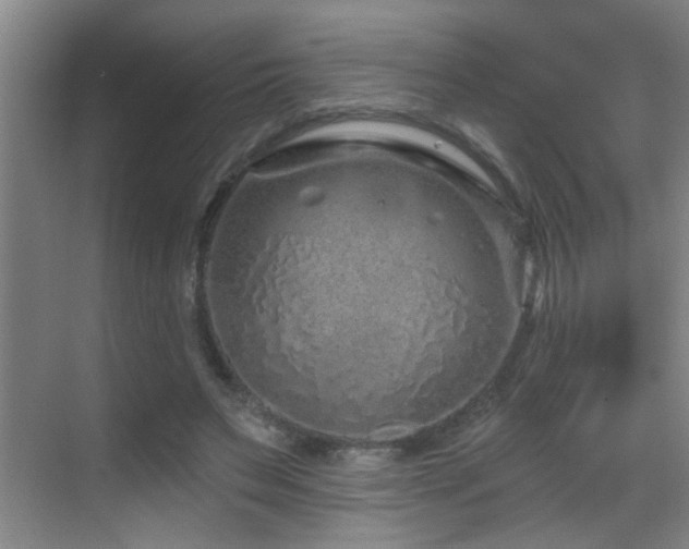 X0000069790495200605191042