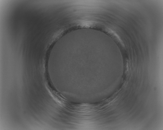 X0000069790496200605191042