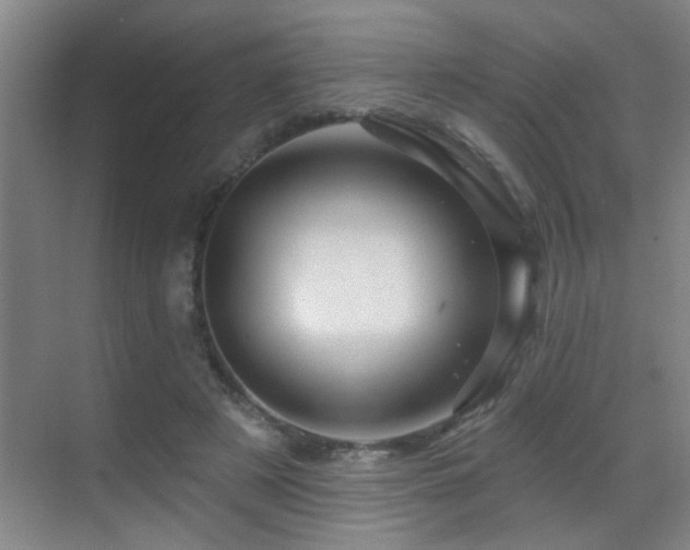 X0000069790497200605191042