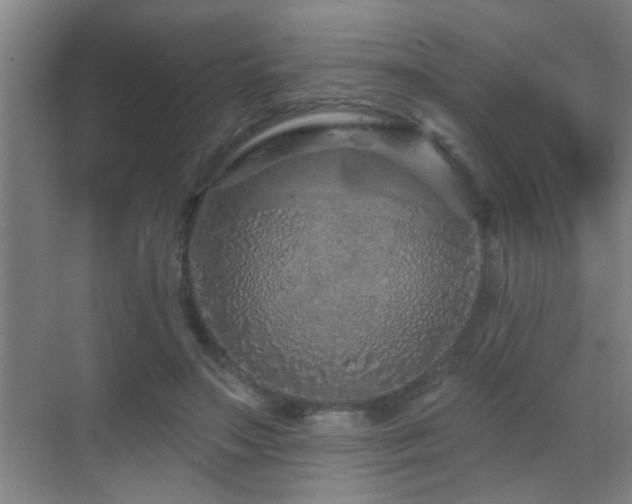 X0000069790499200605191042